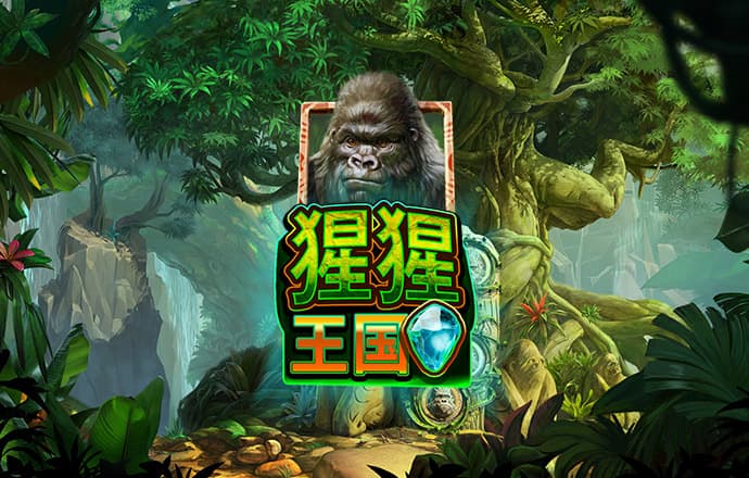 136edf壹定发
